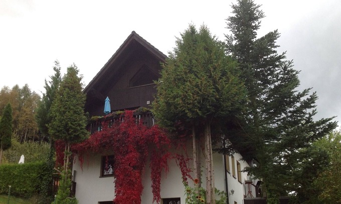 Tannenberg Apartment | holiday apartment/apt. for 3 guests with 40m² in Tannenberg (162086)