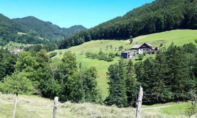 Beinwil Apartment | Charming Holiday Apartment in Beinwil SO with Pool
