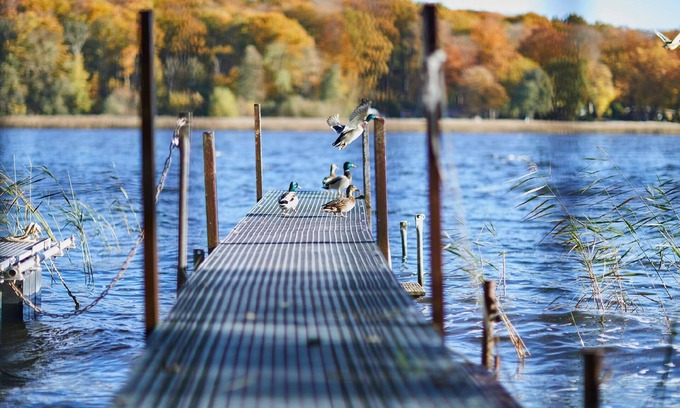 Neukloster Apartment | Cozy Neukloster Holiday Apartment for 4 with Great Amenities