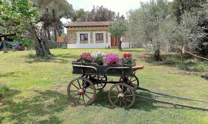 Piombino Other | Cozy Piombino Holiday Apartment for Families with Kitchen
