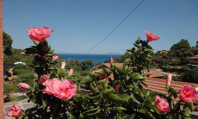 Capoliveri Apartment | Panoramic View Holiday Apartment with Spa and Breakfast