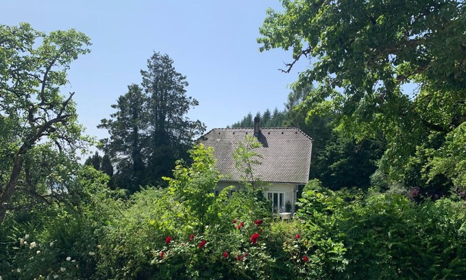 Schopfheim House | Holiday Home '1a' with Mountain View, Private Terrace and Wi-Fi