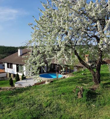 Arbanasi House | Top-Rated Holiday Home Arbanasi with Pool & Family Amenities