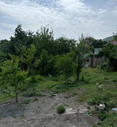 Sheki Apartment | Cozy Holiday Home: Ideal for Families and Budget Travelers