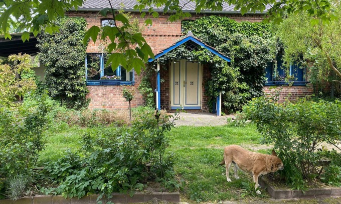 Markische Heide House | Cozy Holiday Home 'Ferienhaus Im Spreewald' with Terrace