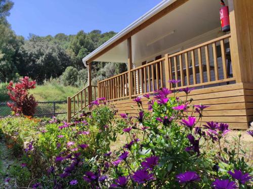 Calella Resort | Cozy Holiday Home in Calella de la Costa with Pool