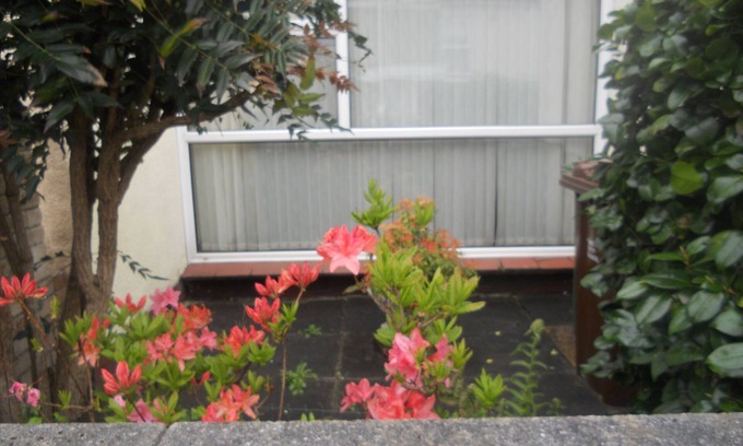 Plymouth House | Inviting Holiday Home in Plymouth with Pool & Kitchen