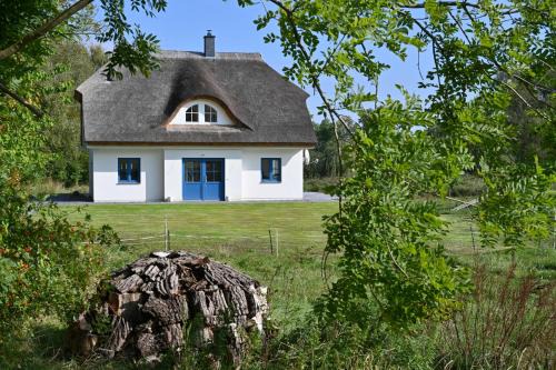 Puddemin House | Family-Friendly Holiday Home in Poseritz - Insel Rügen