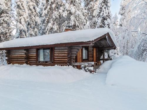Yllasjarvi House | Pet-Friendly Holiday Home Kurtakko Pekka with Hot Tub