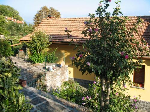 Trarego Viggiona House | Cozy Holiday Home Monte Tabor: Pet and Child Friendly Stay