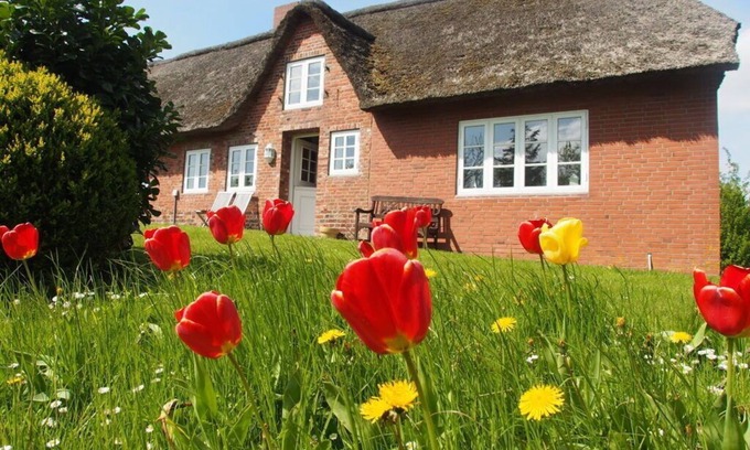 Fedderswarf Apartment | Cozy Holiday Home Ockholm: Pet-Friendly & Family Amenities