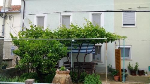 Olib House | Exceptional Holiday Home Olib - Pet & Child Friendly Retreat