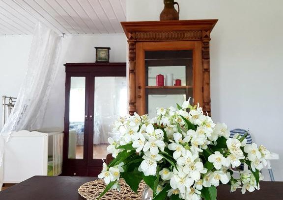 Chistoozernyy House | Explore Kazachiya 20: Pet-Friendly Retreat with Top Ratings
