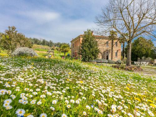 Sinalunga House | Pet-Friendly Holiday Home Podere Casina with 9.6 Rating