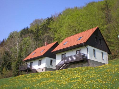Starkov House | Pet-Friendly Holiday Home Stárkov with Pool & High Ratings