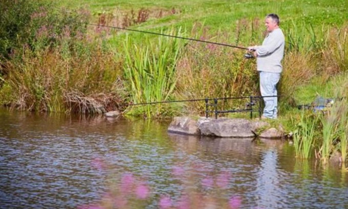 Llanddewi Brefi House | Family-Friendly Holiday Home Winill near Local Attractions