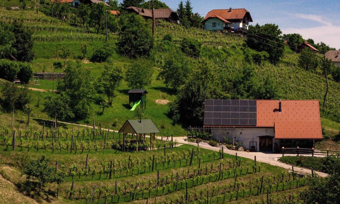 Srednje Grcevje House | Relaxing Holiday Home with Sauna and Wine Cellar Escape