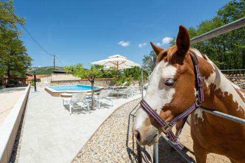 Vrlika Villa | Enchanting Holiday Home with Pool and Scenic Ocean Views