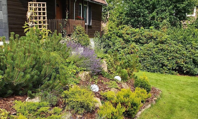Braunlage House | Perfect Holiday House Braunlage for 2-4 with Spa & More