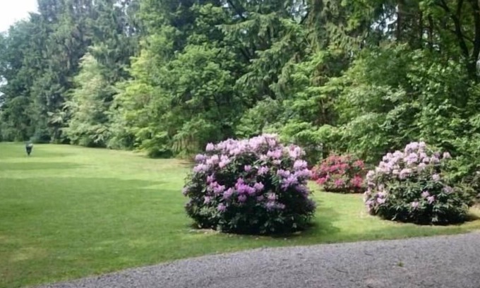 Gudendorf House | Cozy Holiday House Gudendorf with Spa & Pet-Friendly Perks