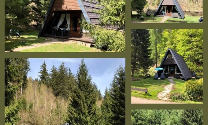 Langelsheim House | Cozy Holiday House Lautenthal: Ideal for Families & Pets