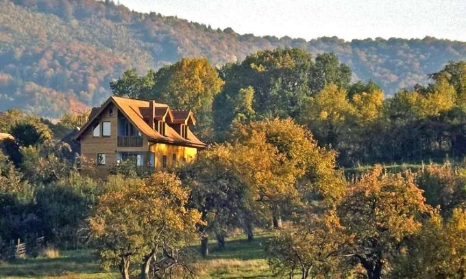 Saliste House | Discover Vale Holiday House: Perfect for Families & Pets