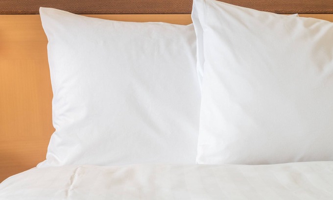 Berea Hotel | Discover Holiday Inn Express Berea: 9.2/10 Guest Rated Stay