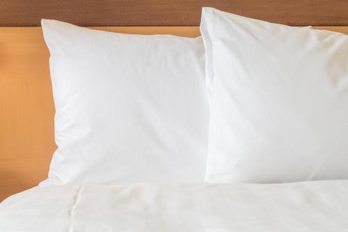 Richmond Hotel | Cozy Holiday Inn Express Richmond with Oceanfront Views