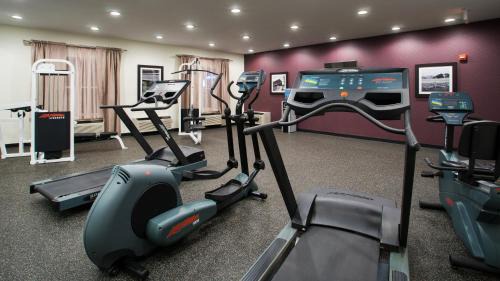 Wyomissing Hotel | Comfortable Stay at Holiday Inn Express & Suites Wyomissing
