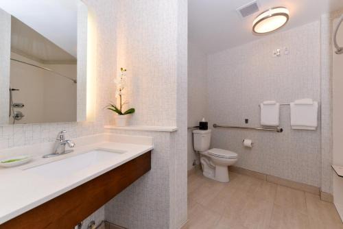Trinity Hotel | Modern Comfort at Holiday Inn Express & Suites Trinity