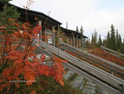 Lampivaara House | Family-Friendly Holidayhome Hoviranta: Pet Welcoming Retreat