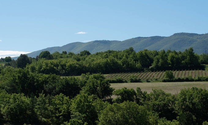 Caseneuve House | Delightful Holidays in Caseneuve Surrounded by Vineyards
