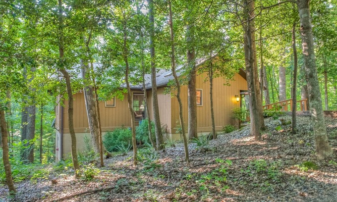 Blairsville Cabin | Guest Rated 9.8: Holly Cabin on Town Creek in Blairsville
