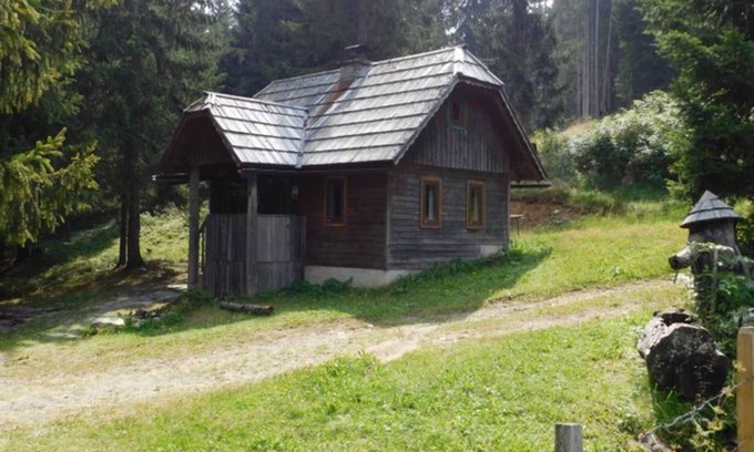 Krakauhintermuehlen Cabin | Holmbauerhütte: Family-Friendly Escape in Österreich