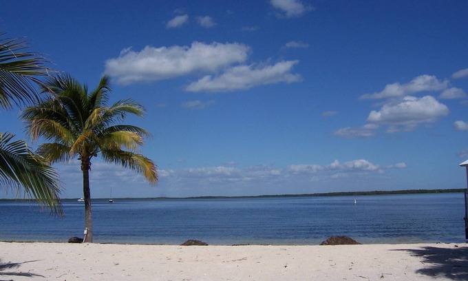 Key Largo Village House | Cozy 3 Bedroom Beachfront Retreat in Key Largo - Rated 10/10
