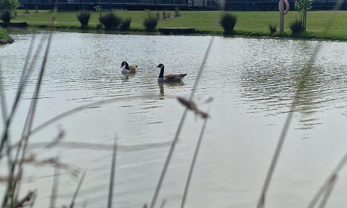 Skegness Cabin | Eco-Friendly Home Farm Park with Hot Tub & Family Amenities