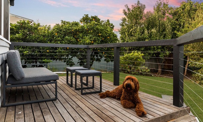 Bendigo House | Comfort Awaits at Home is Here - Rated 10/10!