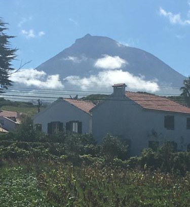 Madalena House | Pet-Friendly Retreat at Home Pico - Casa dos Cedros