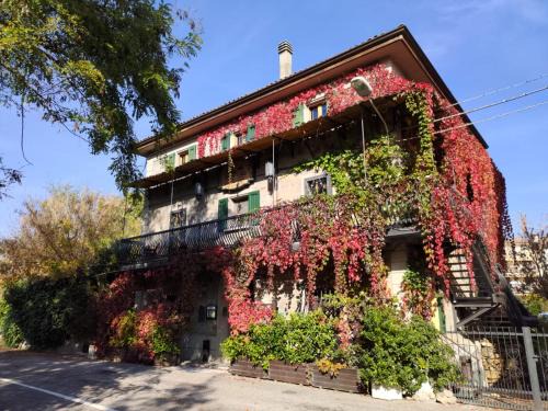 Noce Bed & Breakfast | Cozy Home Story: Pet-Friendly Retreat in Mercatale Ozzano
