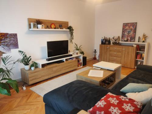 Iernut Apartment | Home sweet home -Central & cozy