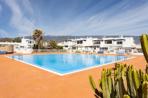Arico Apartment | Relaxing Home2Book Apt with Pool Access in El Poris