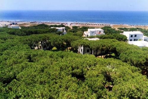 Baia Domizia Resort | Beachfront Retreat at Homeholiday Giulivo with Pool Access