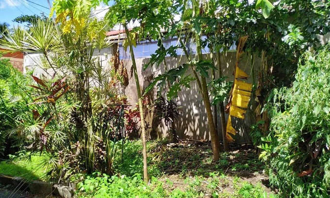 Tartane House | Homerez - 2 Bedroom House in Le Carbet – 60 m² with Terrace