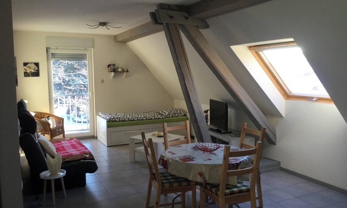 Lohr Apartment | Ideal Lohr Apartment for 4 with Spa & Pet-Friendly Amenities