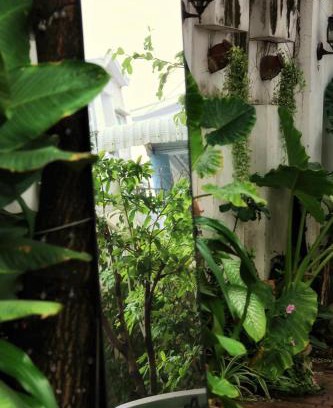 Ninh Kieu House | Budget-Friendly Homestay Cô Gái Việt with Family Amenities