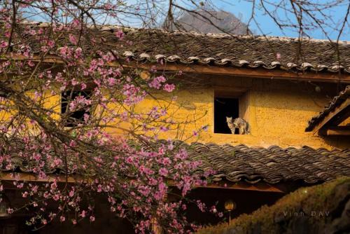 Dong Van House | Homestay & Cafe Cực Bắc