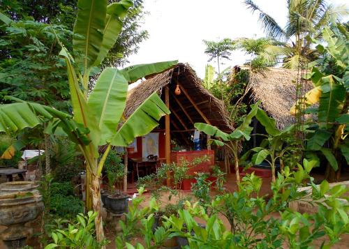 Anuradhapura Other | Cozy Homestay Camping in Anuradhapura - Rated 9/10!
