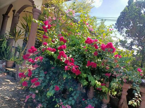 Kangkar Pulai House | Homestay Hidayah