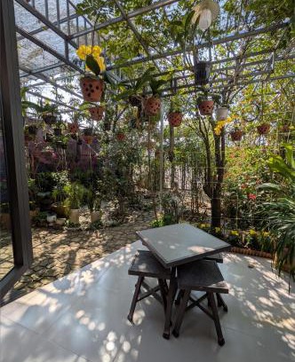 Huong Thuy Apartment | Cozy Homestay Mộc Nhi: 4-Star, Pet-Friendly Retreat