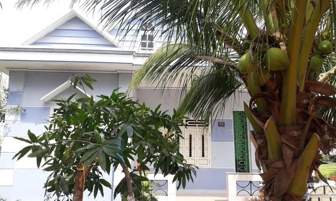 Phuoc Dan House | Discover Homestay of Green Fields: Pet-Friendly Retreat